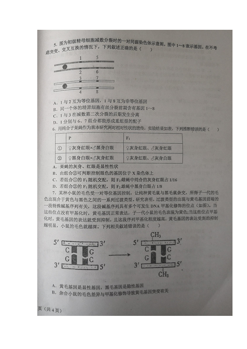 辽宁省辽东南协作体2022届高三上学期期中考试生物试题扫描版含答案02