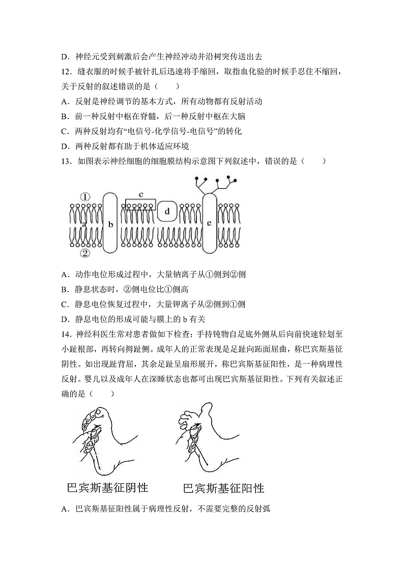 福建省三明市四地四校2021-2022学年高二上学期期中联考协作卷生物试题含答案03