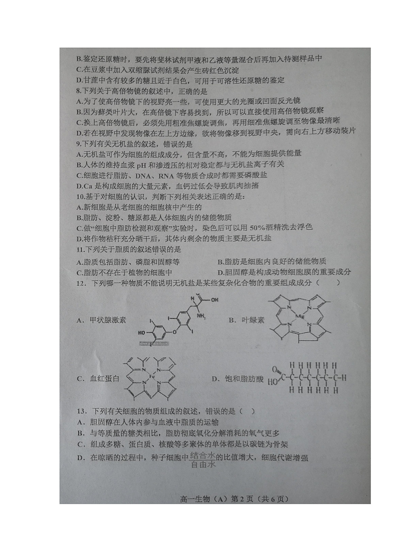 辽宁省辽东南协作体2021-2022学年高一上学期期中考试生物试题第2页