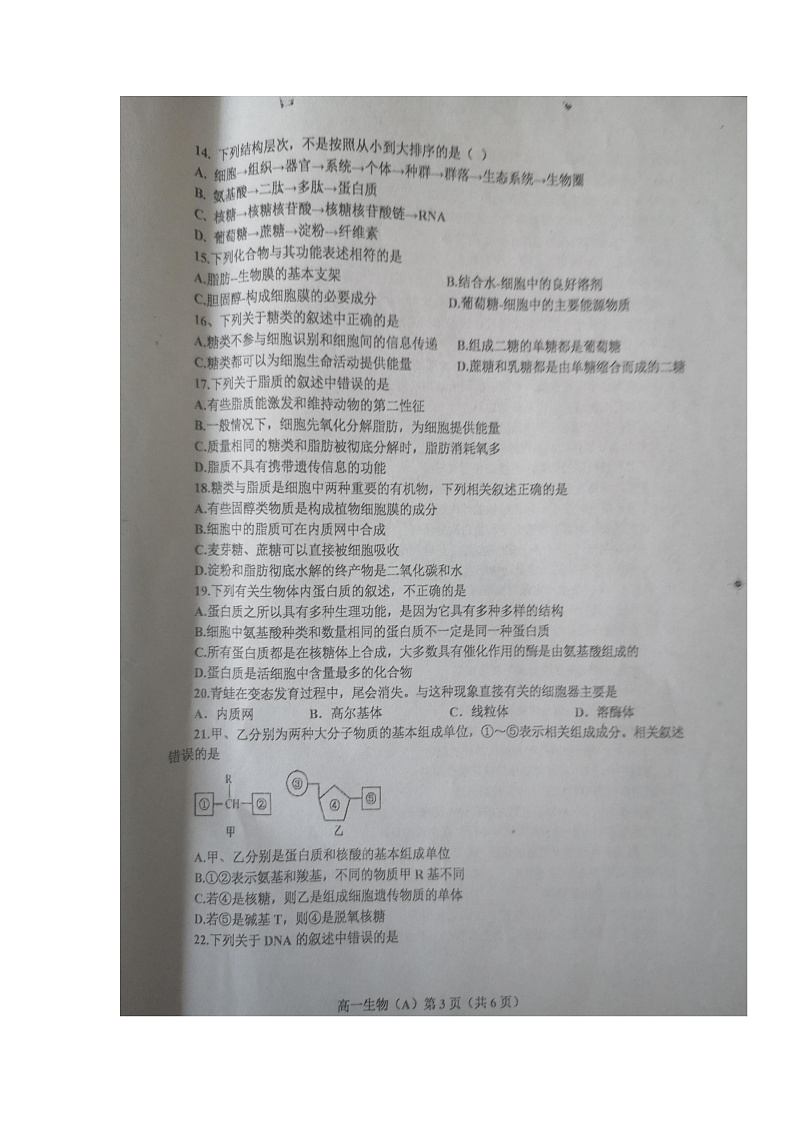 辽宁省辽东南协作体2021-2022学年高一上学期期中考试生物试题第3页