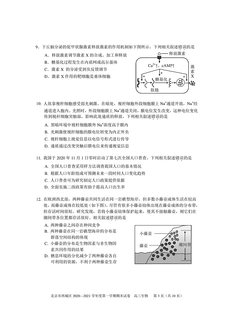 北京市西城区2020―2021学年度高三上学期期末考试生物试题PDF版含答案03