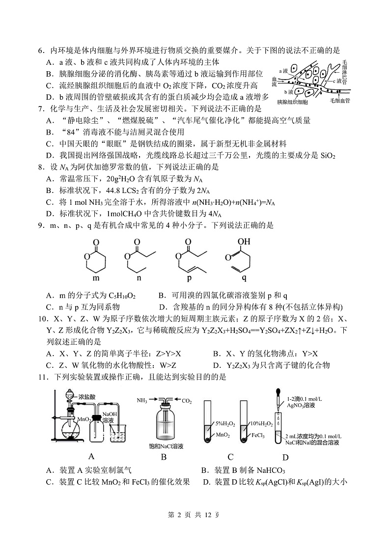 四川省绵阳南山中学2021-2022学年高三上学期12月月12月月考 理综试题第2页
