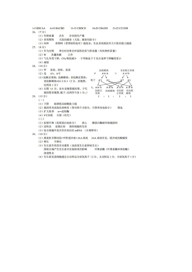 答案第1页