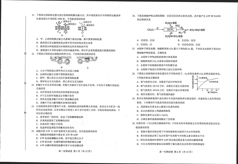 高一生物第3页