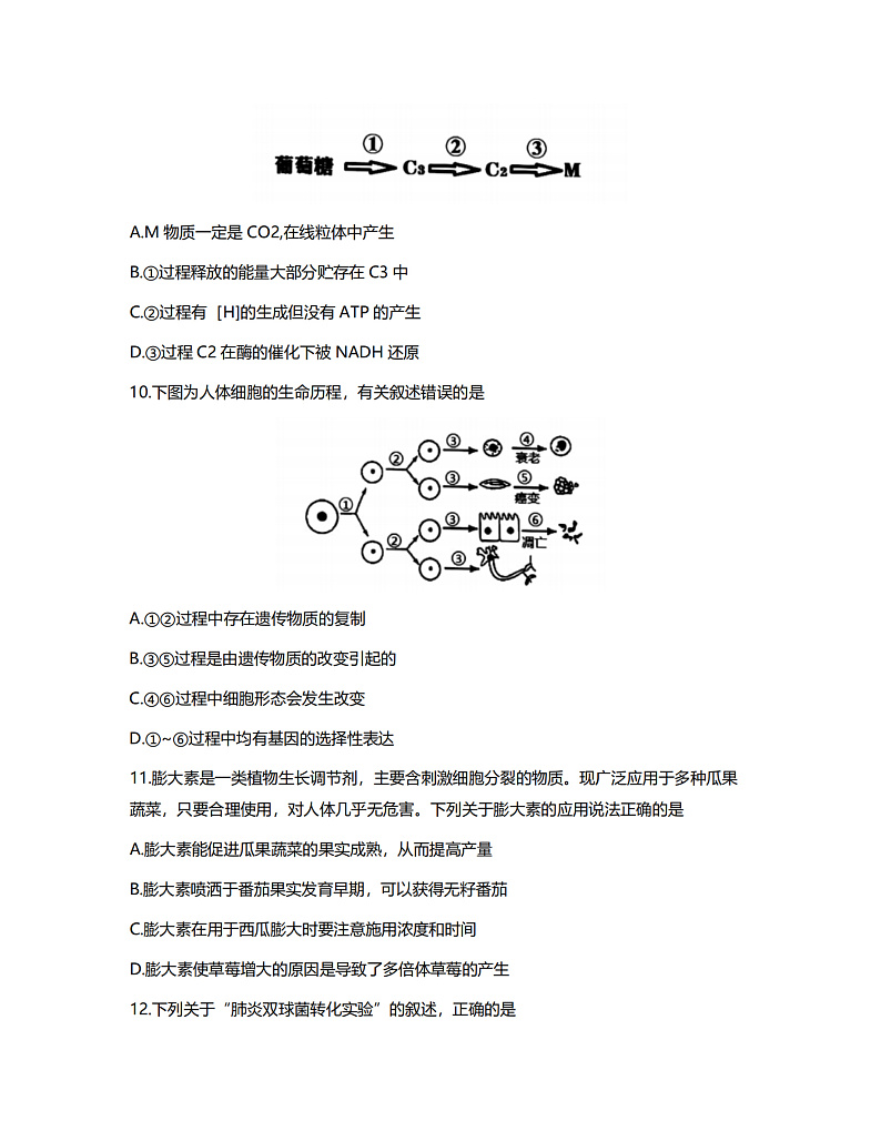 2022届浙江省名校协作体高三上学期开学联考生物试题 PDF版03