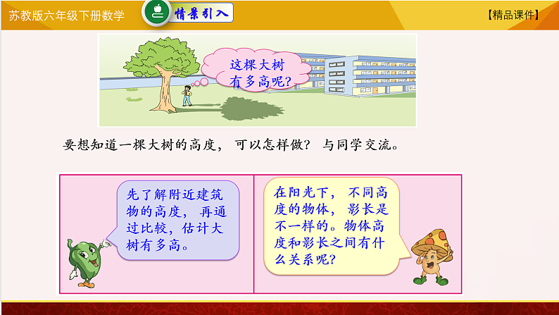 苏教版六年级下册数学 综合与实践-大树有多高 教学课件02