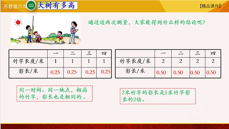 苏教版六年级下册数学 综合与实践-大树有多高 教学课件06