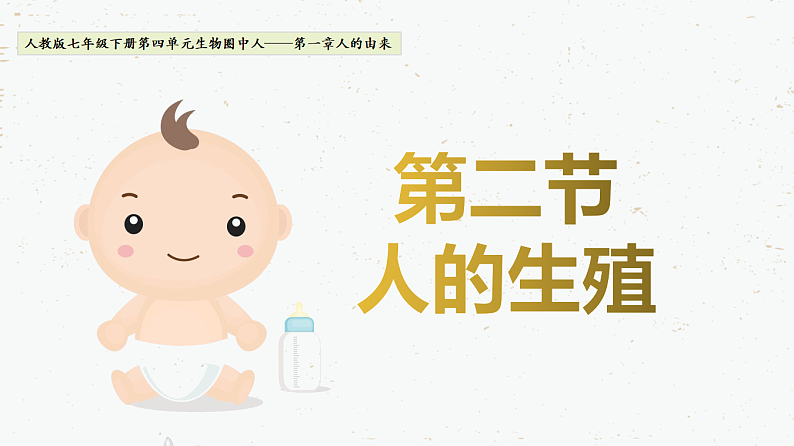 4.1.2人的生殖-2021-2022学年七年级生物下学期同步课件(人教版)第1页