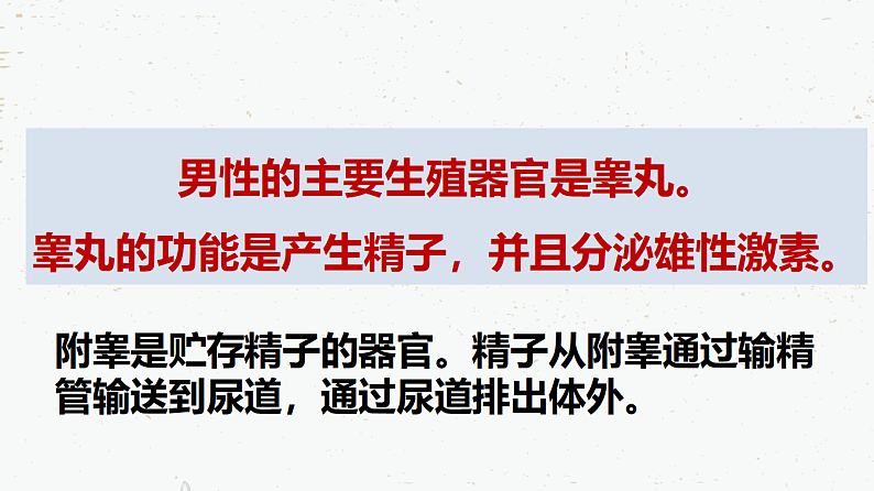 4.1.2人的生殖-2021-2022学年七年级生物下学期同步课件(人教版)第5页