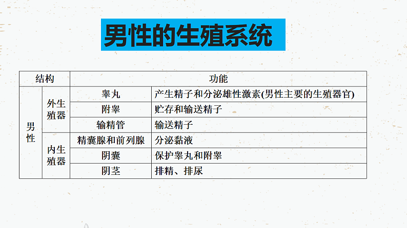 4.1.2人的生殖-2021-2022学年七年级生物下学期同步课件(人教版)第6页