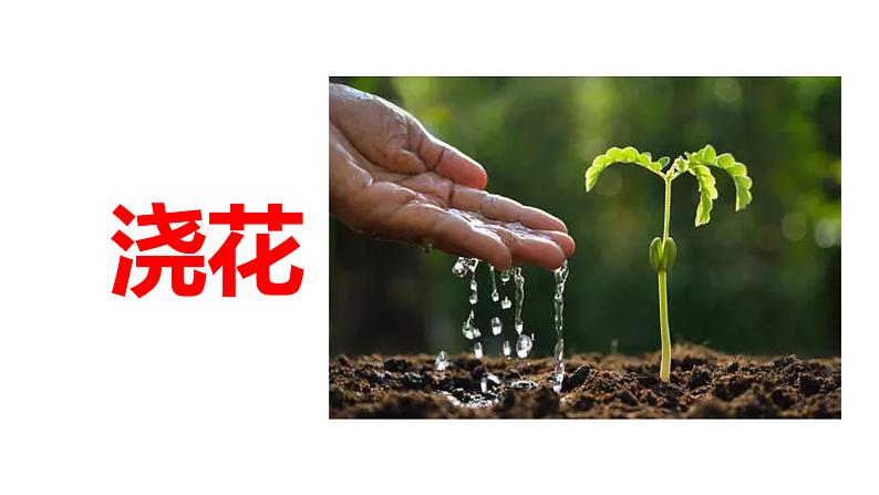 人教版(部编版)语文一年级下册:11彩虹课件PPT08