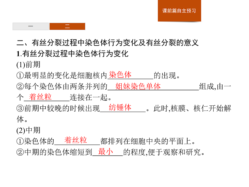4.1 第1课时 细胞周期及有丝分裂过程中染色体的行为变化…-课件浙科版(2019)高中生物必修一06