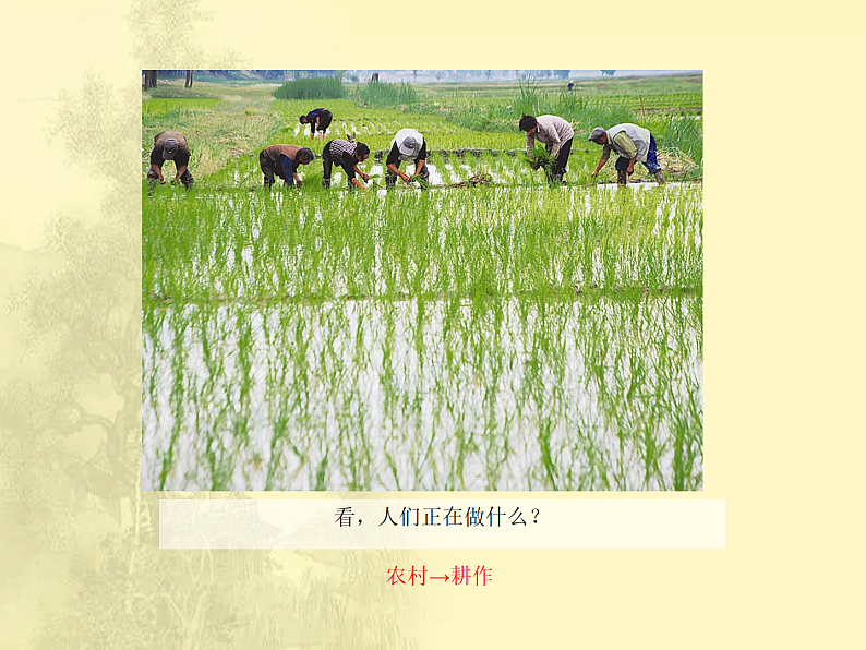 第4章第3节《人类的居住地──聚落》课时课件第7页