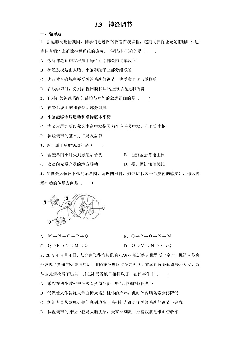 3.3 神经调节-八年级科学上册 同步教学课件+练习(浙教版)01