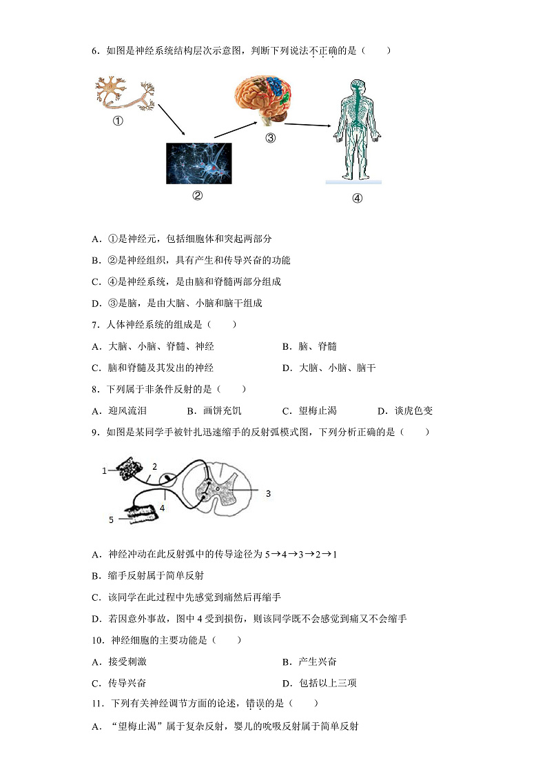 3.3 神经调节-八年级科学上册 同步教学课件+练习(浙教版)02