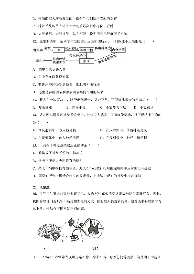 3.3 神经调节-八年级科学上册 同步教学课件+练习(浙教版)03