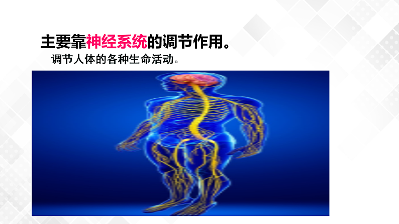 3.3 神经调节-八年级科学上册 同步教学课件+练习(浙教版)04