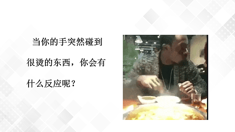 3.3 神经调节-八年级科学上册 同步教学课件+练习(浙教版)02