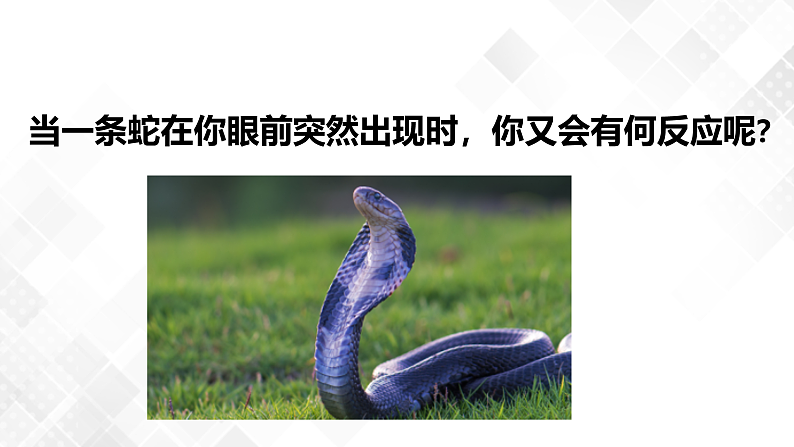 3.3 神经调节-八年级科学上册 同步教学课件+练习(浙教版)03