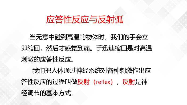 3.3 神经调节-八年级科学上册 同步教学课件+练习(浙教版)04