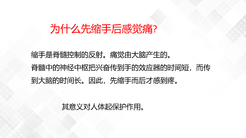 3.3 神经调节-八年级科学上册 同步教学课件+练习(浙教版)06