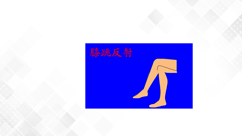 3.3 神经调节-八年级科学上册 同步教学课件+练习(浙教版)07