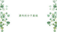 2022届高三生物二轮复习课件：专题六遗传的分子基础