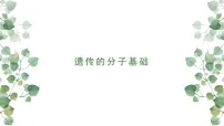 2022届高三生物二轮复习课件:专题六遗传的分子基础