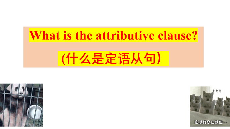冲刺中考英语重点语法之定语从句-冲刺中考英语必考语法考前突击训练课件PPT第5页