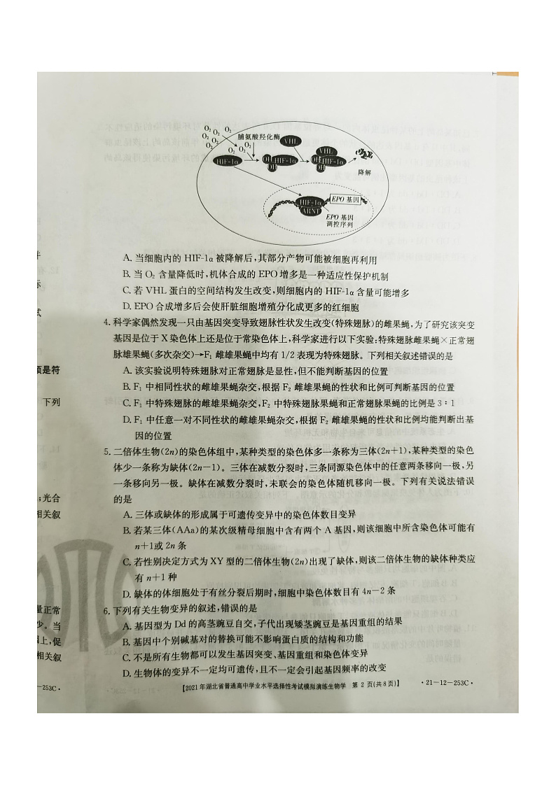 2021年湖北省普通高中学业水平选择性考试模拟演练 生物 PDF版02