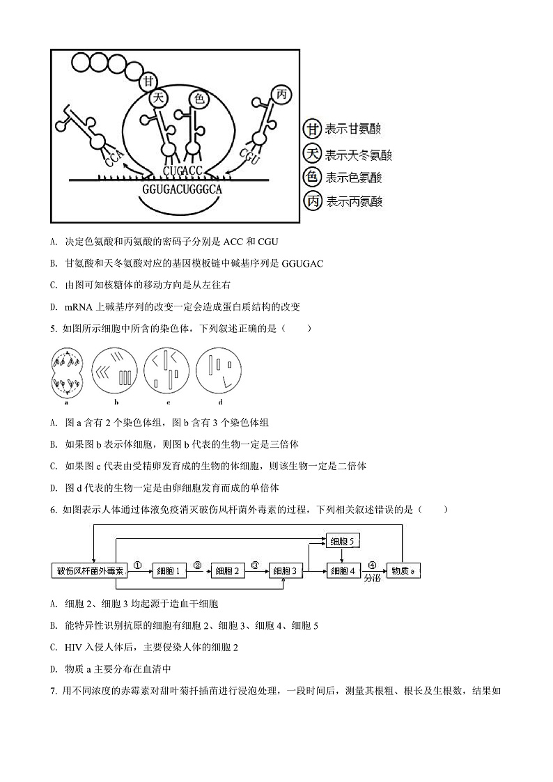 天津市西青区杨柳青第一中学2021-2022学年高二下学期期末适应性测试(实验班)生物试题第2页