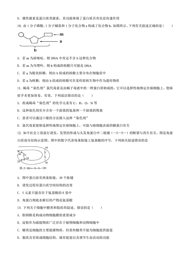 天津市第二南开学校2021-2022学年高一上学期期中阶段性评价生物试题第3页