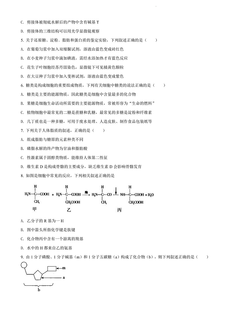山西省运城市芮城县芮城中学2021-2022学年高一下学期开学检测生物试题第2页