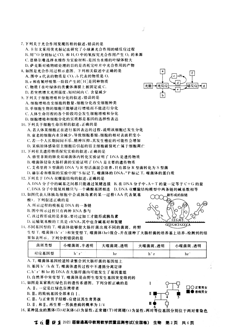 百校联盟2021届旧高考9月份联考生物试题Doc1第2页