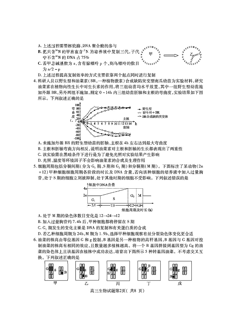 2020济宁高三5月高考模拟考试生物试题PDF版含答案02