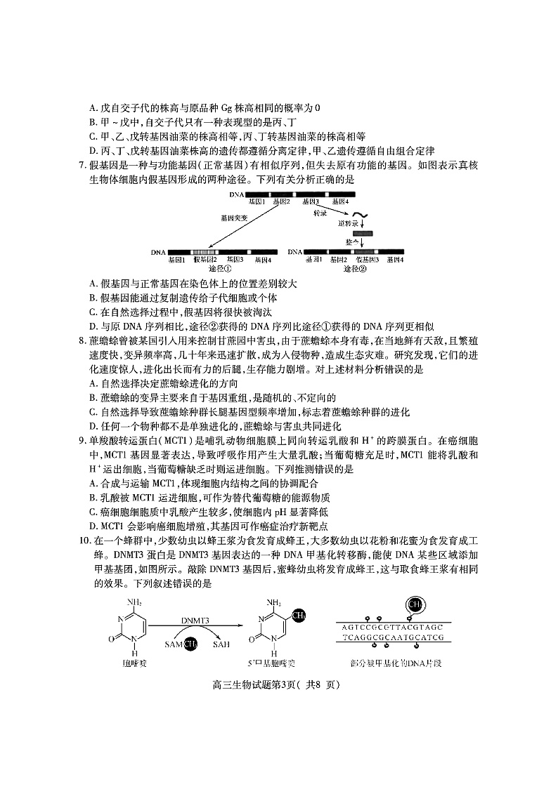 2020济宁高三5月高考模拟考试生物试题PDF版含答案03