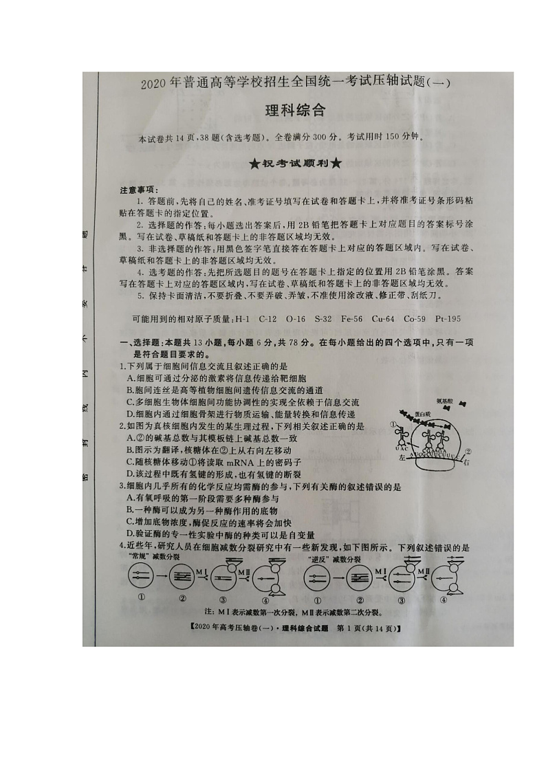 2020河南省顶尖名校高三4月联考理科综合试题扫描版含答案01