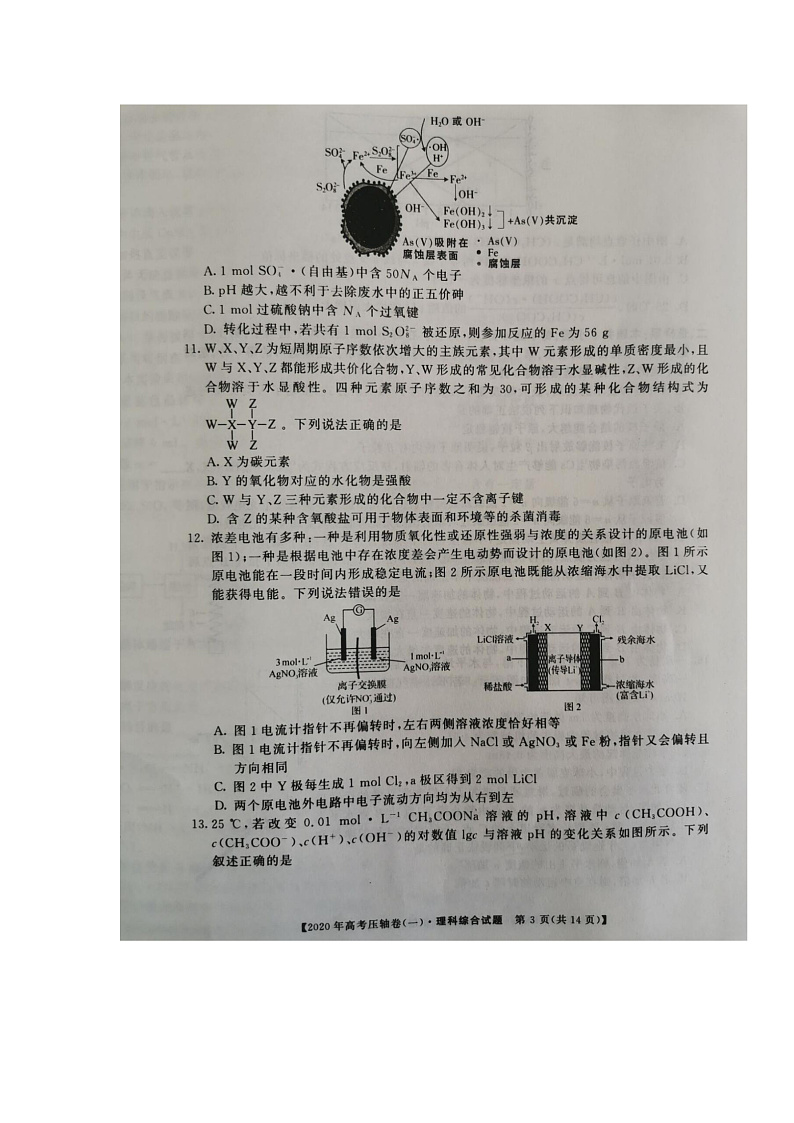 2020河南省顶尖名校高三4月联考理科综合试题扫描版含答案03
