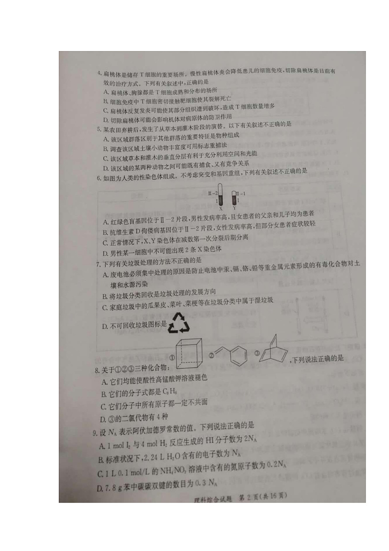 广西玉林市2020届高三第一次适应性考试理科综合试题 扫描版含答案第2页