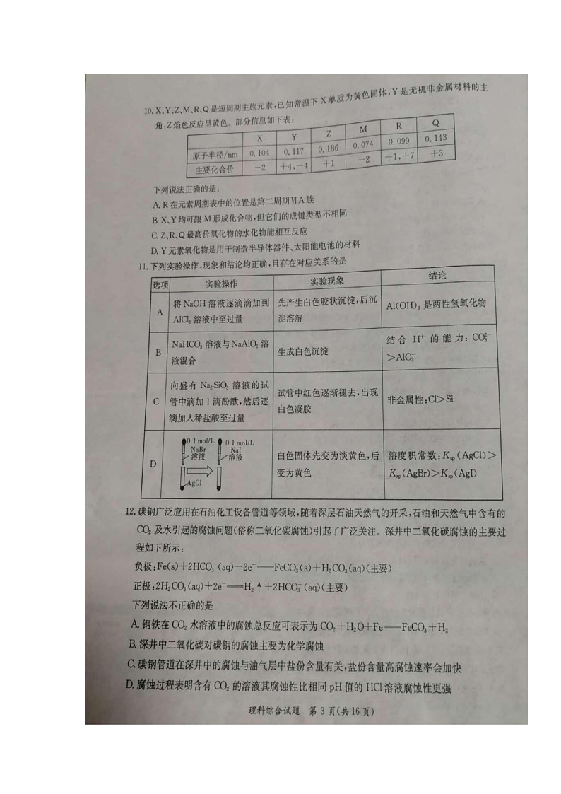 广西玉林市2020届高三第一次适应性考试理科综合试题 扫描版含答案第3页