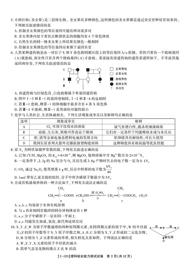 安徽省皖江名校联盟2020届高三下学期第五次联考理科综合试题 PDF版含答案第2页