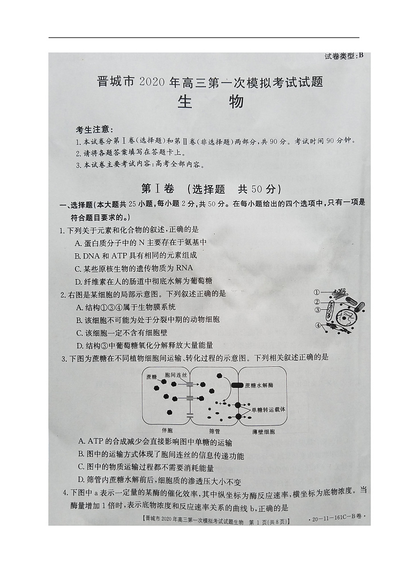 2020晋城高三第一次模拟考试生物试题扫描版含答案01