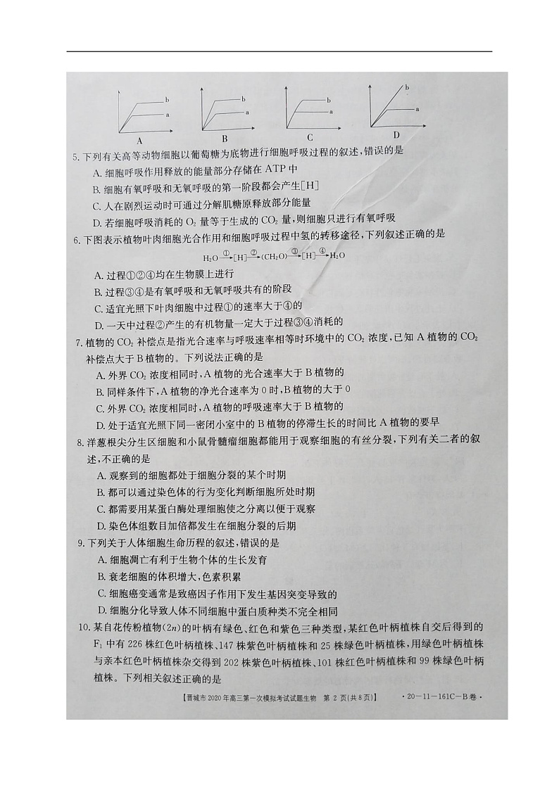 2020晋城高三第一次模拟考试生物试题扫描版含答案02