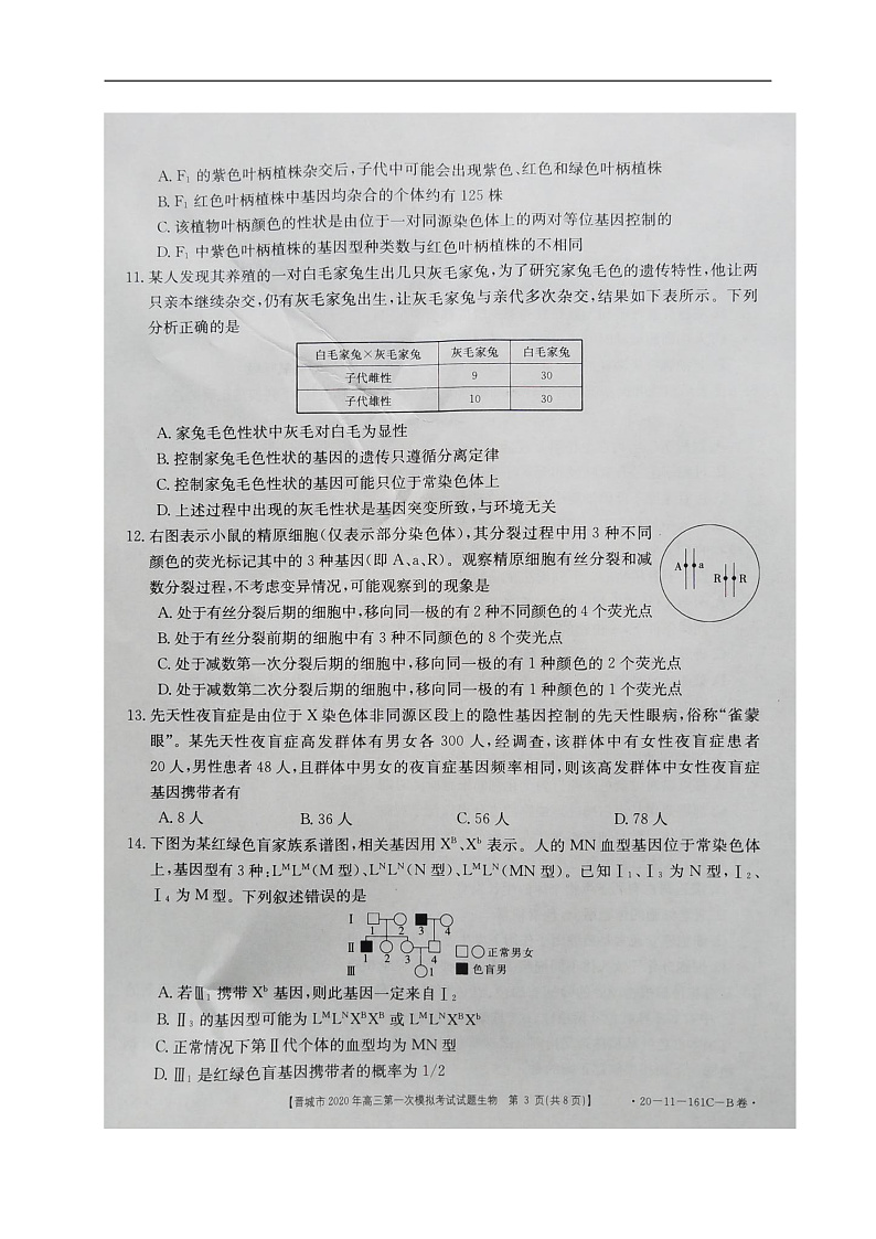 2020晋城高三第一次模拟考试生物试题扫描版含答案03