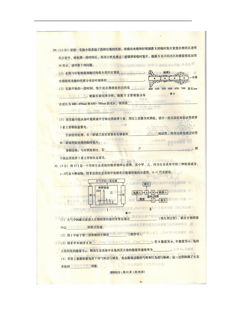贵州省贵阳市四校(贵阳市)2020届高三1月月考生物试题 扫描版含答案第3页
