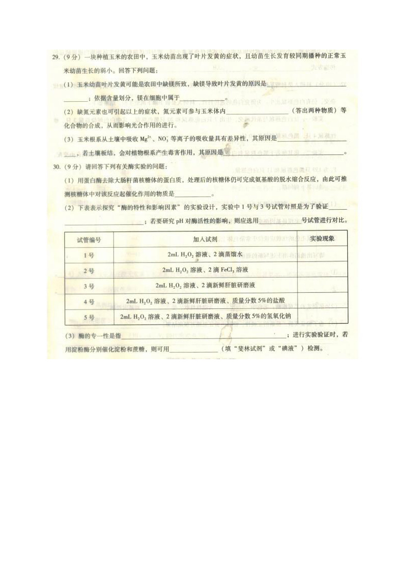 2020西南名校联盟%U30FB高三3+3+3高考备考诊断性联考卷(一)生物试题PDF版含答案第3页
