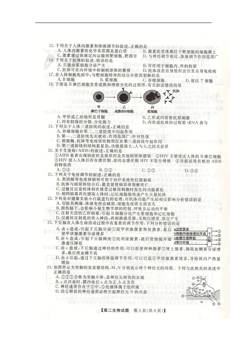 河北省邯郸市六校(大名县、磁县等六县一中)2019-2020学年高二上学期期中考试生物试题 扫描版含答案第3页