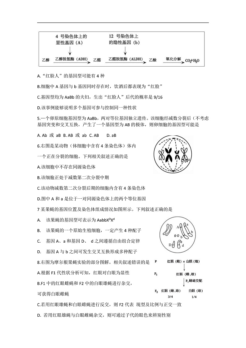 试题第2页