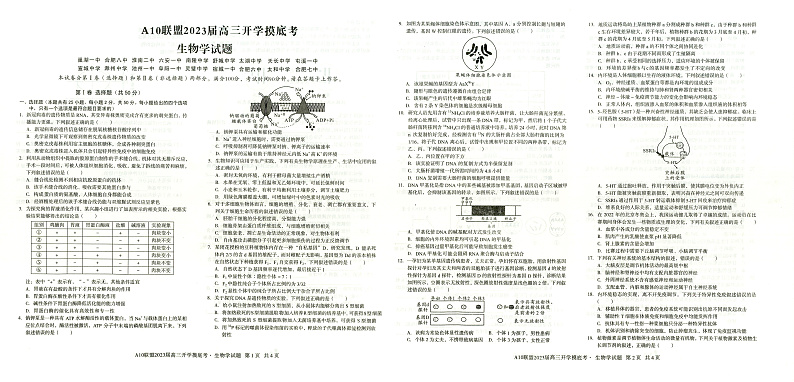 安徽省A10联盟2022-2023学年高三上学期开学考试生物试题(无答案))第1页