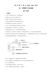 2023兰州西北师大附中高三上学期期中考试生物含答案